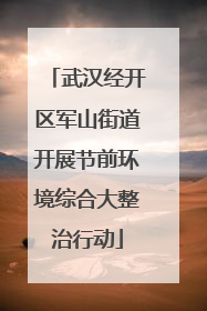 武汉经开区军山街道开展节前环境综合大整治行动
