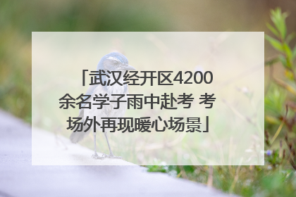 武汉经开区4200余名学子雨中赴考 考场外再现暖心场景