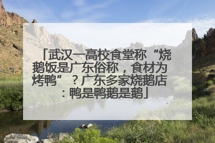 武汉一高校食堂称“烧鹅饭是广东俗称，食材为烤鸭”？广东多家烧鹅店：鸭是鸭鹅是鹅