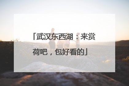武汉东西湖：来赏荷吧，包好看的