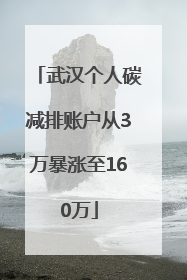 武汉个人碳减排账户从3万暴涨至160万