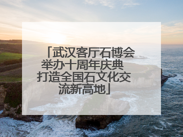 武汉客厅石博会举办十周年庆典 打造全国石文化交流新高地
