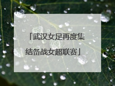 武汉女足再度集结备战女超联赛