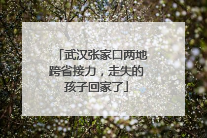 武汉张家口两地跨省接力，走失的孩子回家了