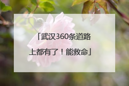 武汉360条道路上都有了！能救命