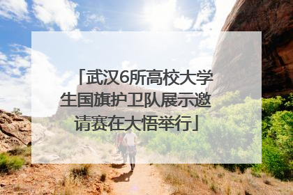武汉6所高校大学生国旗护卫队展示邀请赛在大悟举行