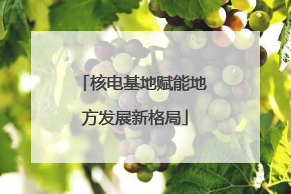 核电基地赋能地方发展新格局