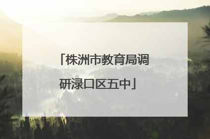 株洲市教育局调研渌口区五中