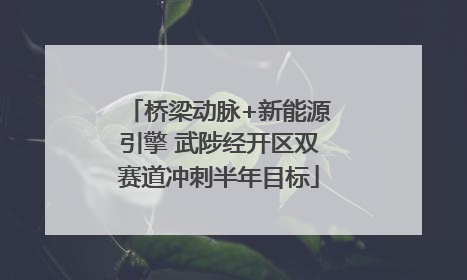 桥梁动脉+新能源引擎 武陟经开区双赛道冲刺半年目标