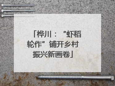 桦川：“虾稻轮作”铺开乡村振兴新画卷