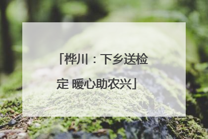 桦川：下乡送检定 暖心助农兴