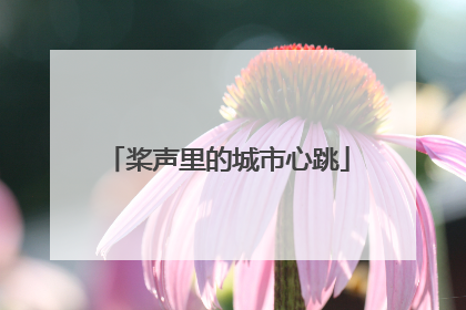 桨声里的城市心跳