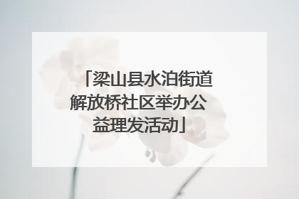 梁山县水泊街道解放桥社区举办公益理发活动