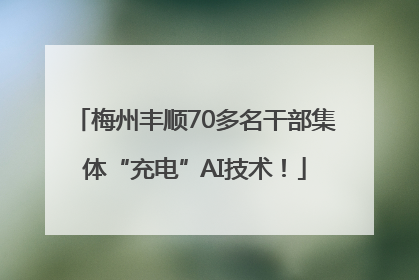 梅州丰顺70多名干部集体“充电”AI技术！