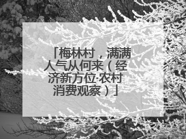 梅林村，满满人气从何来（经济新方位·农村消费观察）