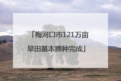梅河口市121万亩旱田基本播种完成