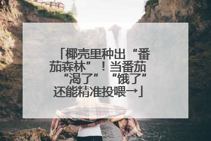 椰壳里种出“番茄森林”！当番茄“渴了”“饿了”还能精准投喂→