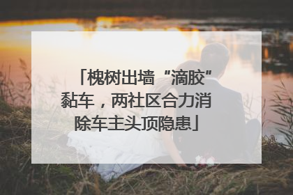槐树出墙“滴胶”黏车，两社区合力消除车主头顶隐患