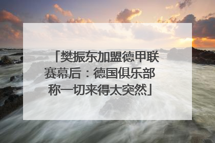 樊振东加盟德甲联赛幕后：德国俱乐部称一切来得太突然