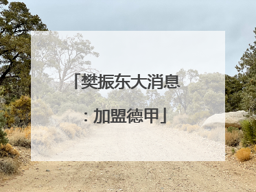 樊振东大消息：加盟德甲