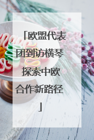 欧盟代表团到访横琴 探索中欧合作新路径