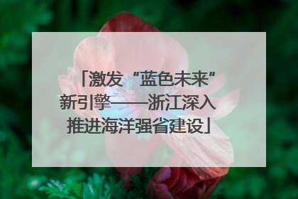 激发“蓝色未来”新引擎——浙江深入推进海洋强省建设