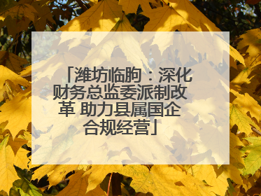 潍坊临朐：深化财务总监委派制改革 助力县属国企合规经营