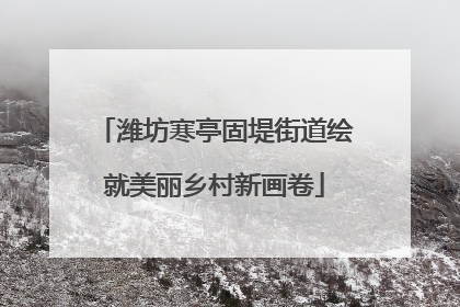 潍坊寒亭固堤街道绘就美丽乡村新画卷