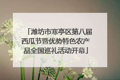 潍坊市寒亭区第八届西瓜节暨优势特色农产品全国巡礼活动开幕