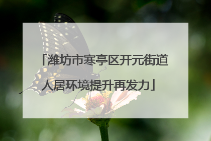潍坊市寒亭区开元街道人居环境提升再发力