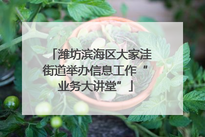 潍坊滨海区大家洼街道举办信息工作“业务大讲堂”