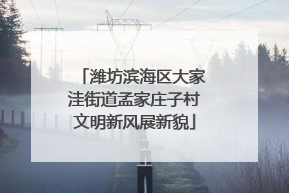 潍坊滨海区大家洼街道孟家庄子村文明新风展新貌