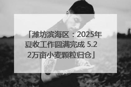 潍坊滨海区：2025年夏收工作圆满完成 5.22万亩小麦颗粒归仓