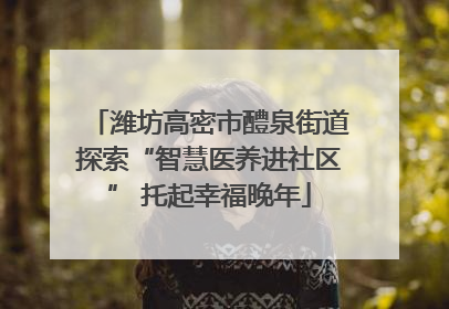 潍坊高密市醴泉街道探索“智慧医养进社区” 托起幸福晚年