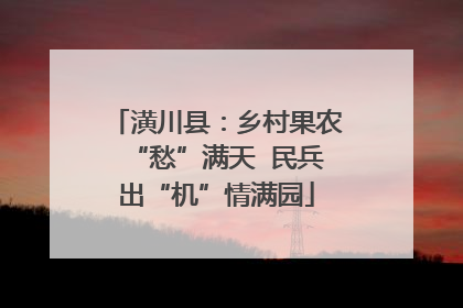 潢川县：乡村果农“愁”满天  民兵出“机”情满园