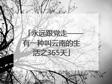 永远跟党走——有一种叫云南的生活之365天