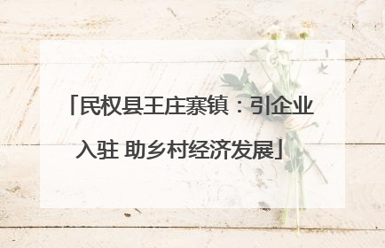 民权县王庄寨镇：引企业入驻 助乡村经济发展