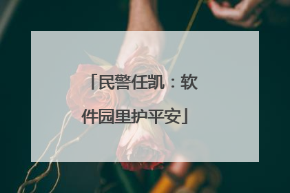 民警任凯：软件园里护平安