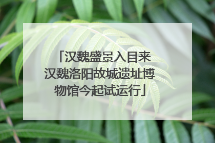 汉魏盛景入目来 汉魏洛阳故城遗址博物馆今起试运行