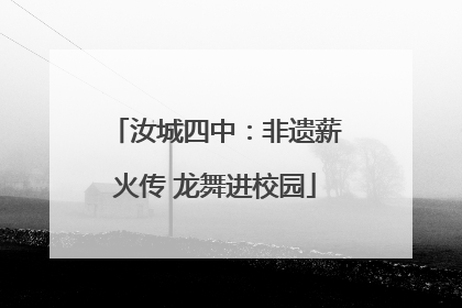 汝城四中：非遗薪火传 龙舞进校园
