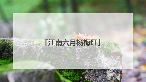 江南六月杨梅红