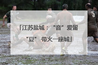 江苏盐城：“音”爱留“夏” 带火一座城