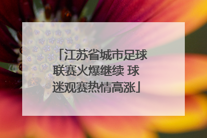 江苏省城市足球联赛火爆继续 球迷观赛热情高涨