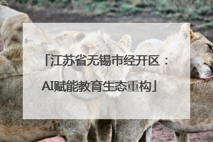 江苏省无锡市经开区：AI赋能教育生态重构