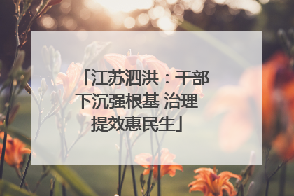 江苏泗洪：干部下沉强根基 治理提效惠民生