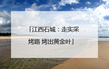 江西石城：走实采烤路 烤出黄金叶