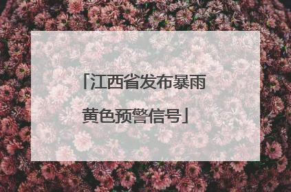 江西省发布暴雨黄色预警信号