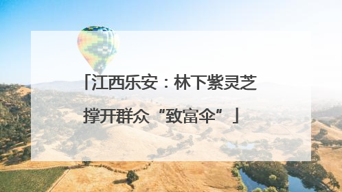 江西乐安：林下紫灵芝撑开群众“致富伞”
