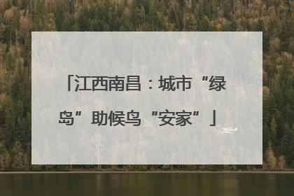 江西南昌：城市“绿岛”助候鸟“安家”