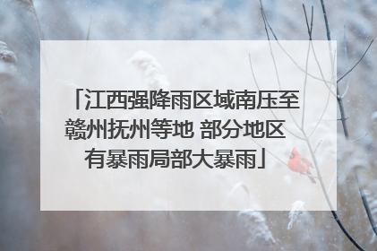 江西强降雨区域南压至赣州抚州等地 部分地区有暴雨局部大暴雨